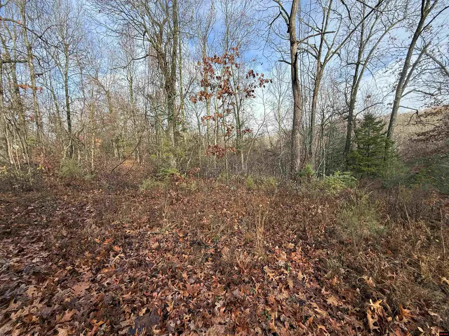 549-00828-000 DOGWOOD DRIVE, Omaha, AR 72662 - Image #2