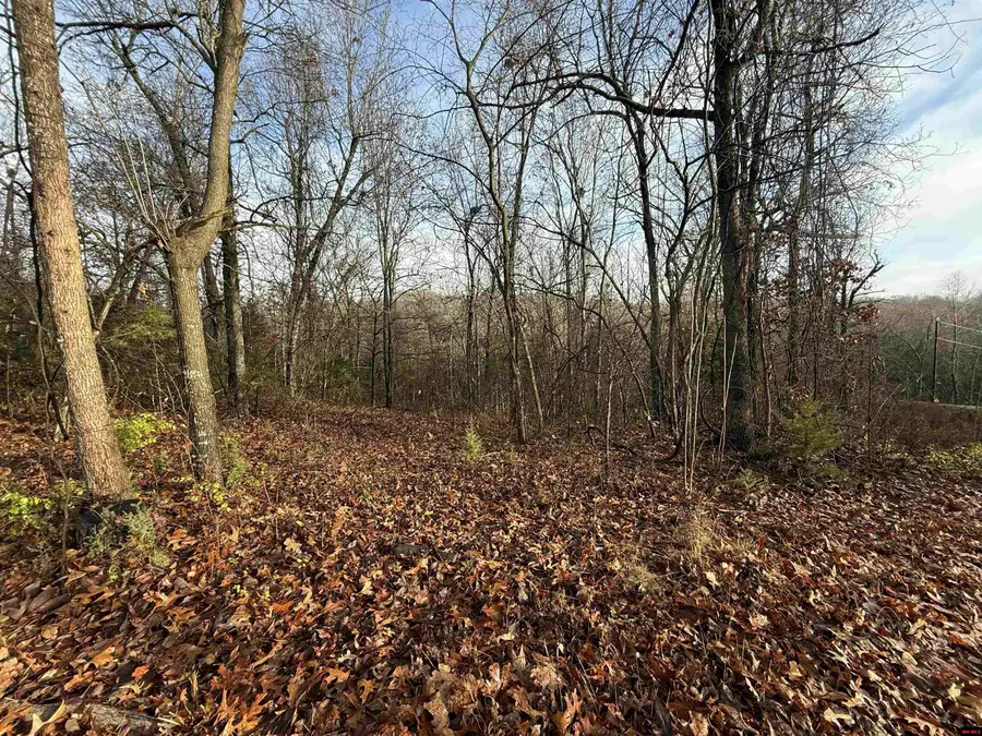 549-00828-000 DOGWOOD DRIVE, Omaha, AR 72662 - Image #3