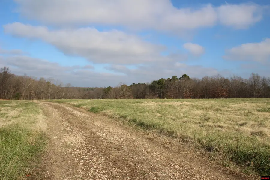 413 IMPULSE LANE, Yellville, AR 72687 - #2