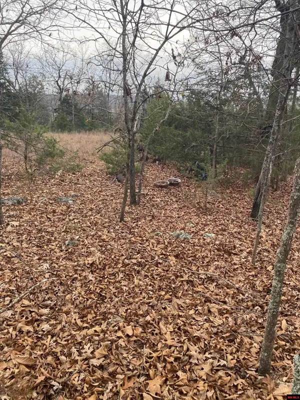 001-02798-001 ISLAND HEAD LANE, Flippin, AR 72634