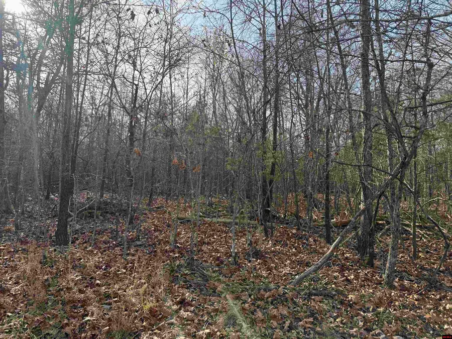 2390 MC 2061, Marion County, AR 72687 - Image #2