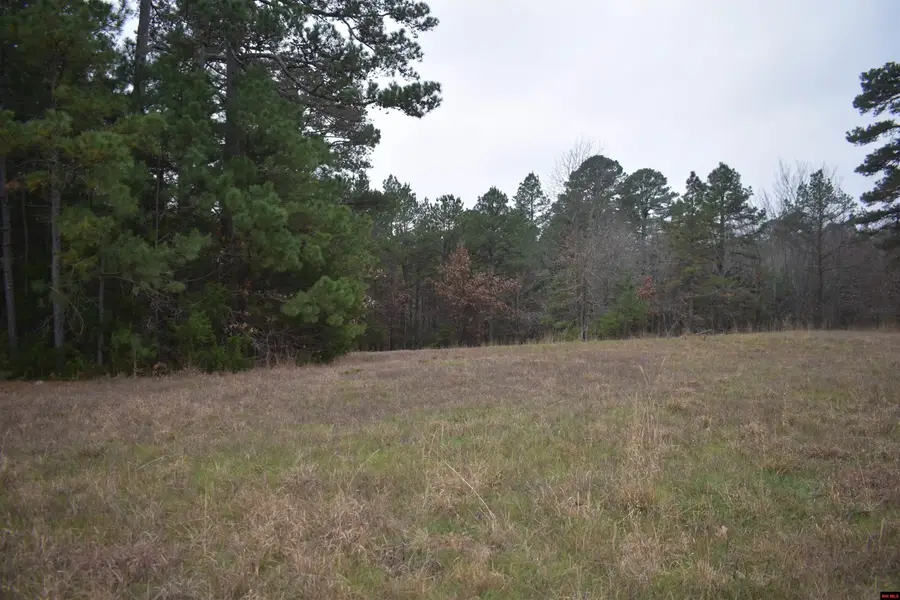 010-11219-038 SWISS ALPS LANE, Mountain Home, AR 72653 - Image #3