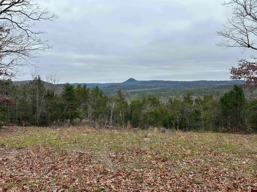 6895 JUMBO ROAD, Athens, AR 72566 - Image #2