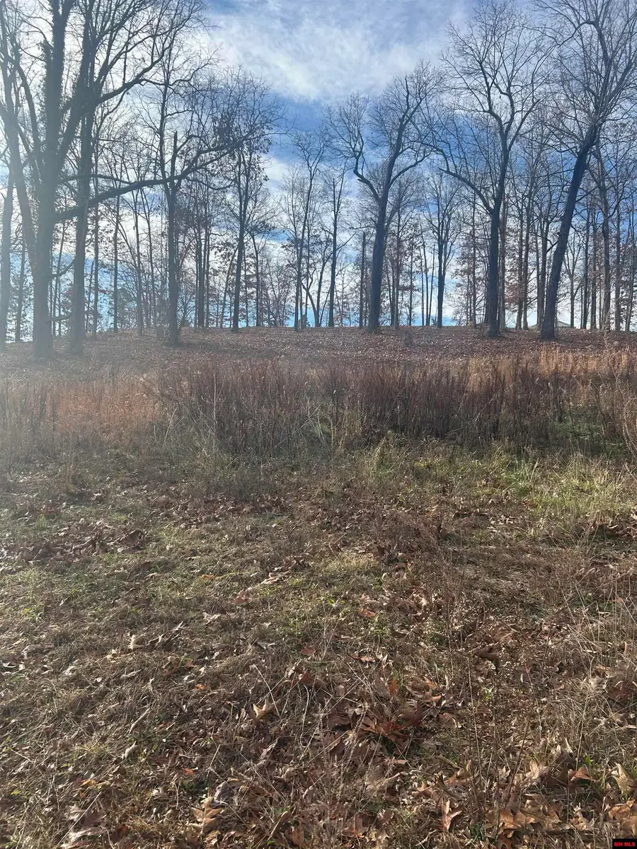 97 FOREST PARK DRIVE, Mountain Home, AR 72653 - Image #3