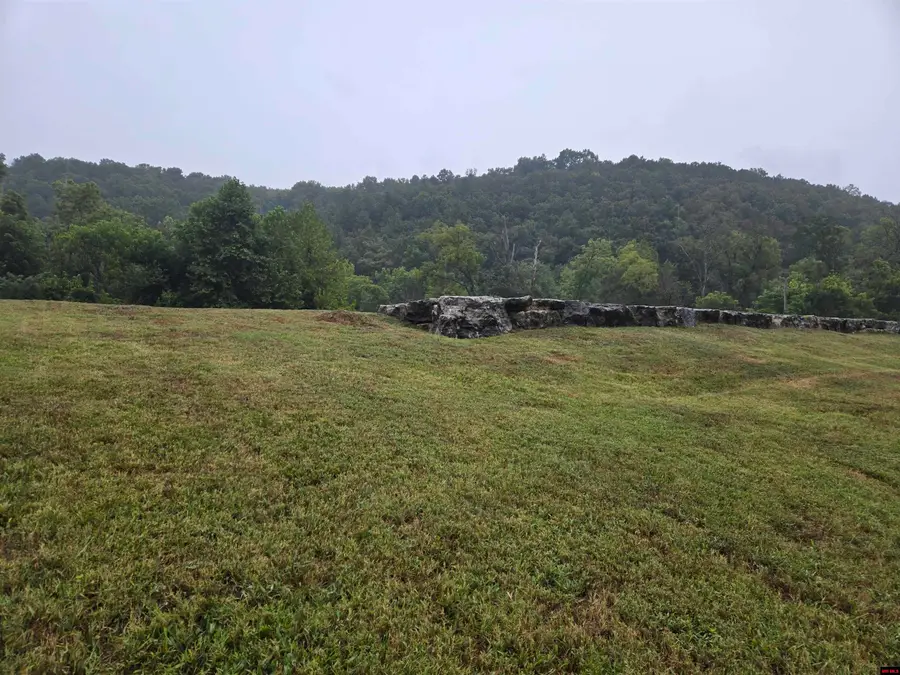 Lot 12 PLANE TREE LANE, Mountain Home, AR 72653 - Image #2