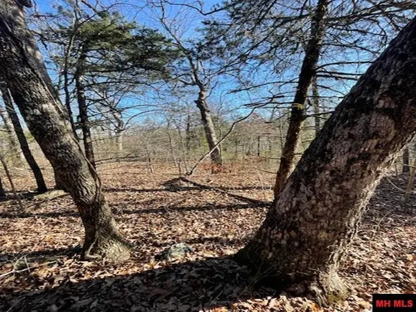 1313 ZONE RIDGE LANE, Yellville, AR 72687