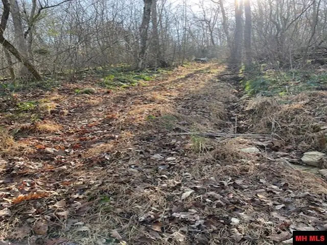 1313 ZONE RIDGE LANE, Yellville, AR 72687 - Image #2