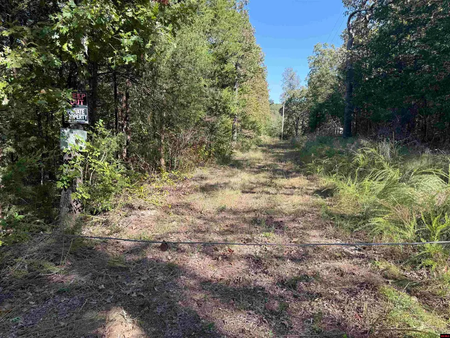 232 NEW HOPE LANE, Mountain Home, AR 72653 - Image #3