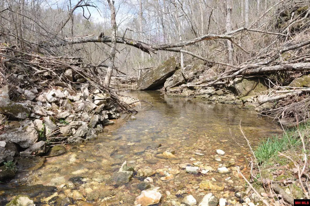 001-00404-003 TATER KNOB LANE, Yellville, AR 72687 - #1