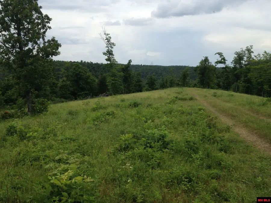 001-00404-003 TATER KNOB LANE, Yellville, AR 72687 - #2