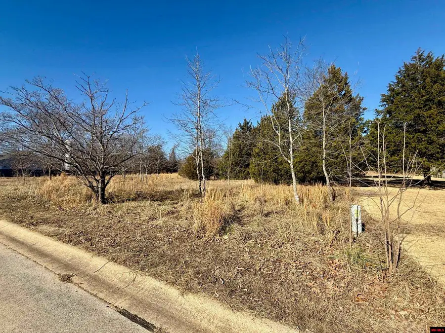 Lots 65 WINTERVIEW, Bull Shoals, AR 72619 - Image #3