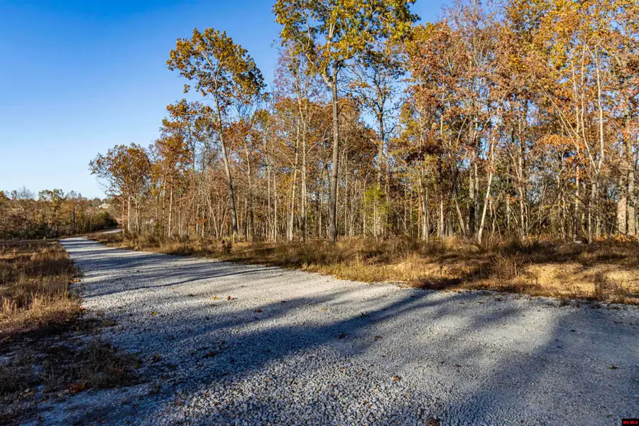 00107416017 PROVIDENCE RIDGE ROAD, Clarkridge, AR 72623 - Image #2