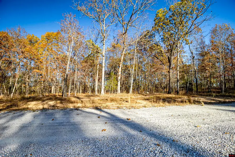 00107416017 PROVIDENCE RIDGE ROAD, Clarkridge, AR 72623 - Image #3