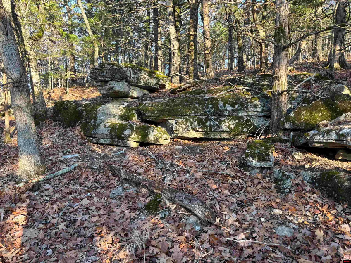 125-00033-000 MC 6025, Marion County, AR 72617 - Image #1