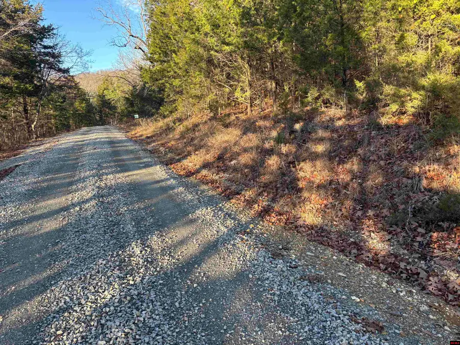 125-00033-000 MC 6025, Marion County, AR 72617 - Image #3