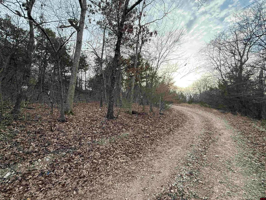 775-01692-000 MALLARD DRIVE, Diamond City, AR 72630 - #3