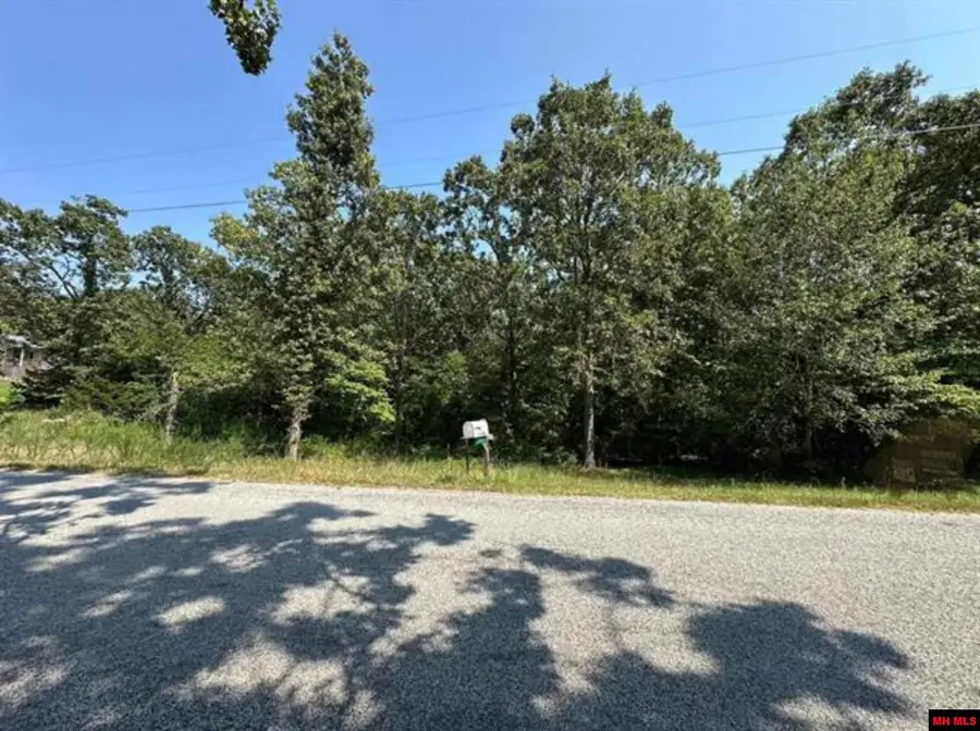 002-11190-108 CR 39, Mountain Home, AR 72653 - Image #3