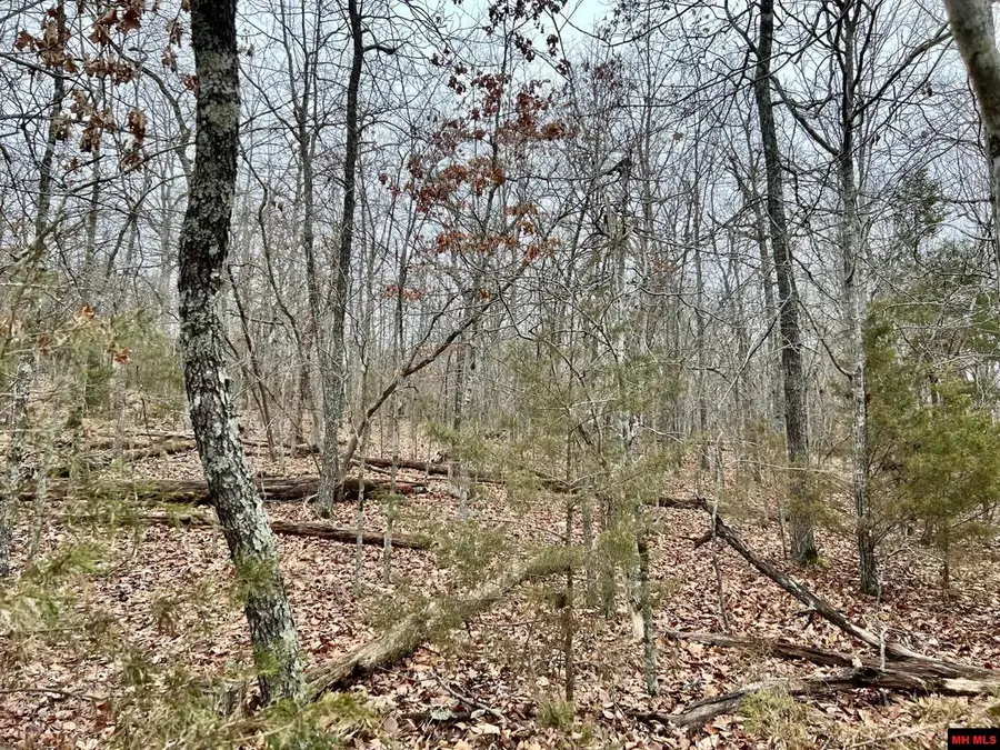 760 22314 000 COUNTRY CLUB DRIVE, Bull Shoals, AR 72619 - Image #3