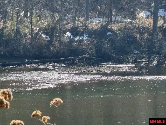 002-11202-009 PLANE TREE LANE, Mountain Home, AR 72653 - Image #3