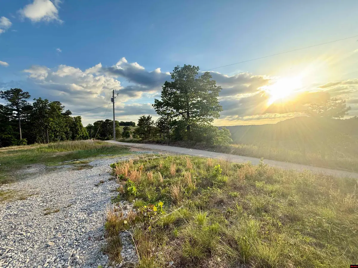 7958 MC 6061, Flippin, AR 72634 - #1