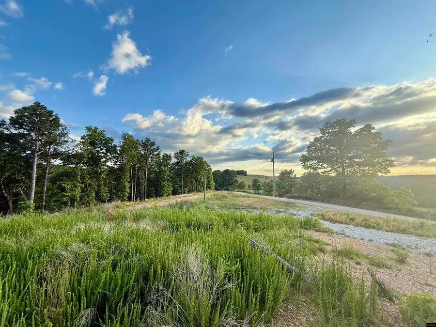 7958 MC 6061, Flippin, AR 72634 - #2