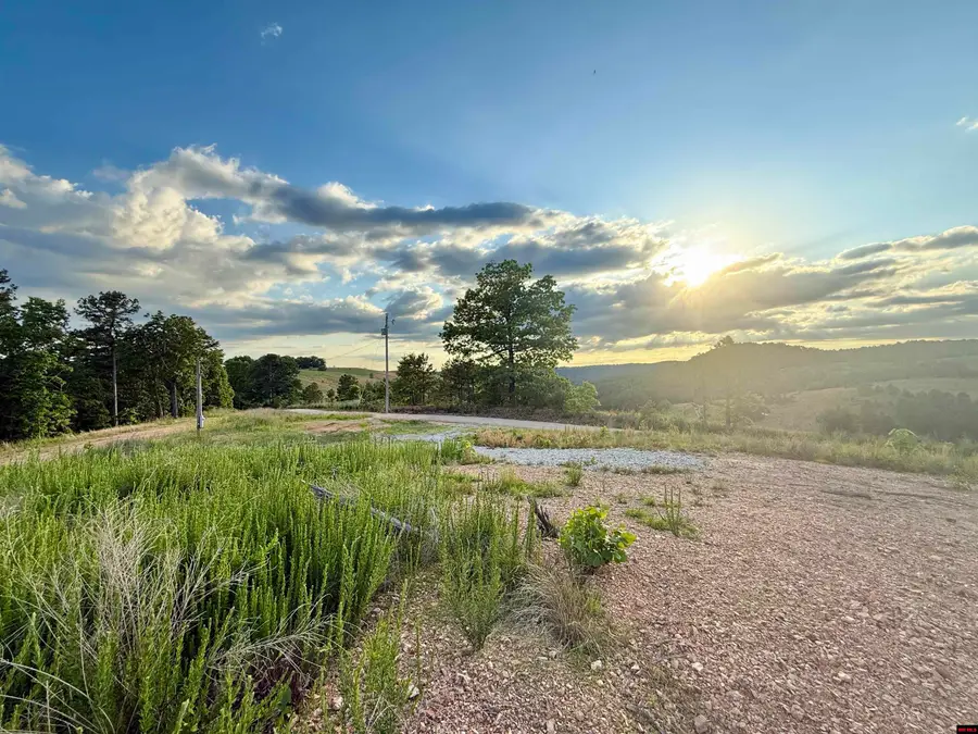 7958 MC 6061, Flippin, AR 72634 - #3