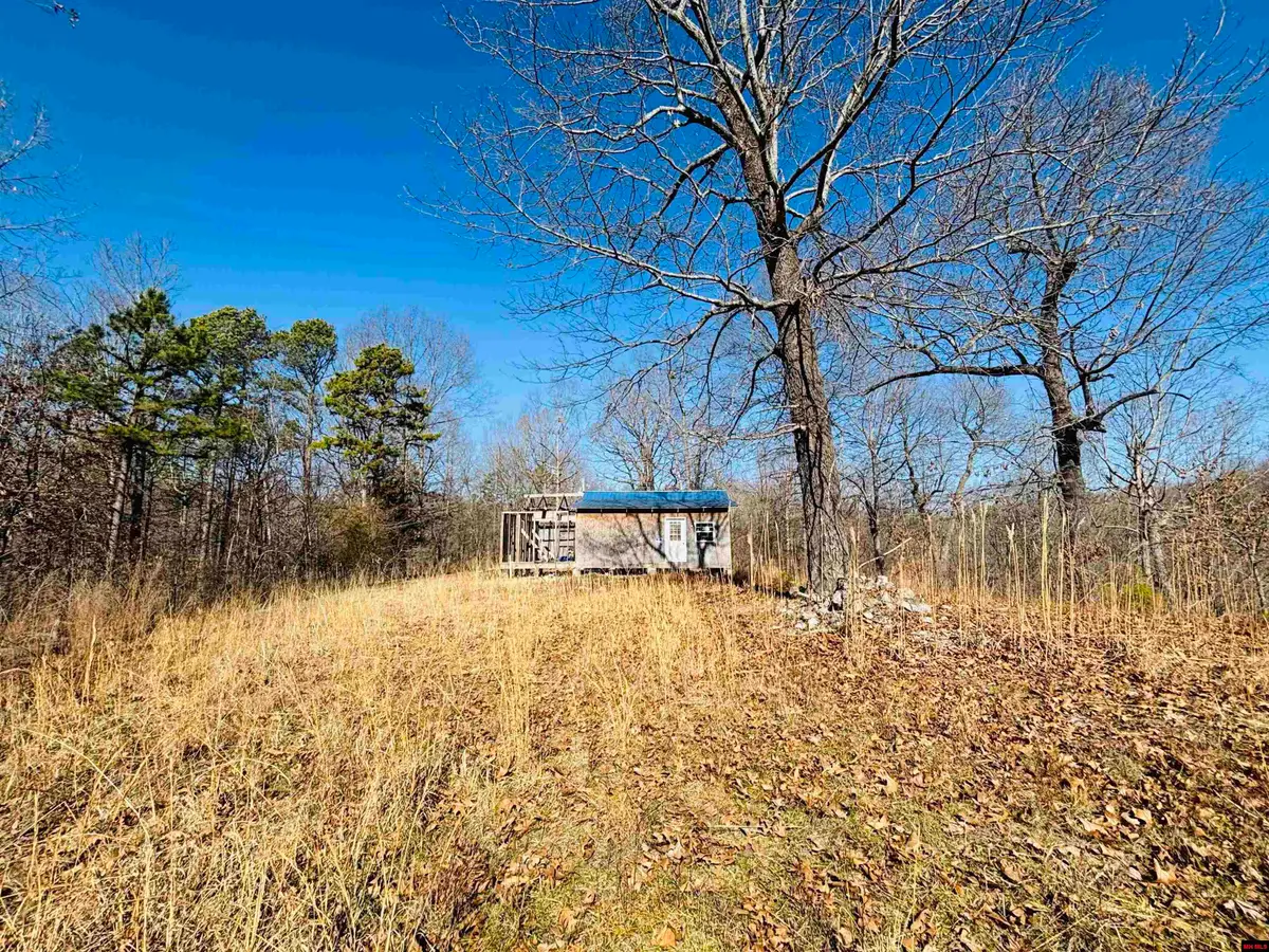 240 GOAT TRAIL, Yellville, AR 72687 - #1