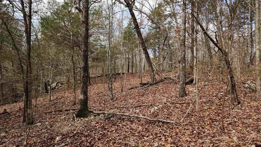 760 16267 000 KINGSWAY CIRCLE, Bull Shoals, AR 72619 - #2