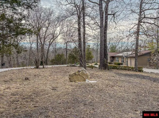 216 MC 8077, Flippin, AR 72634 - #3