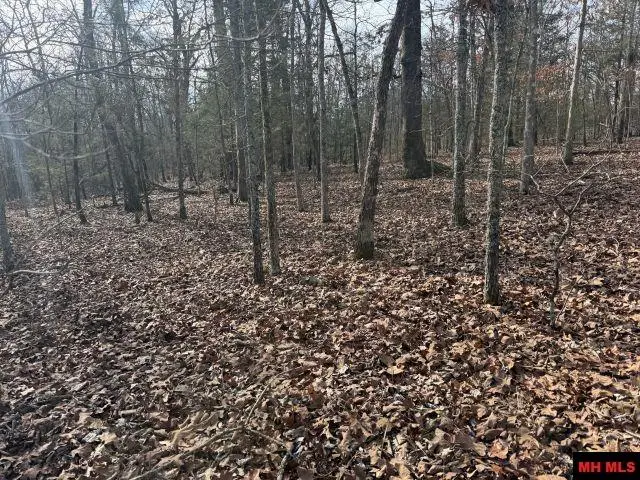 Tract 1 MC 8003, Yellville, AR 72687 - #2
