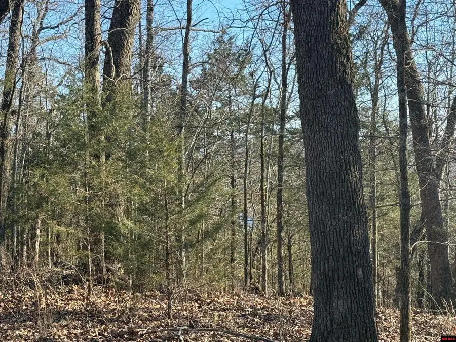 Lts 15, 16 PANTHER COVE DRIVE, Mountain Home, AR 72653 - #3