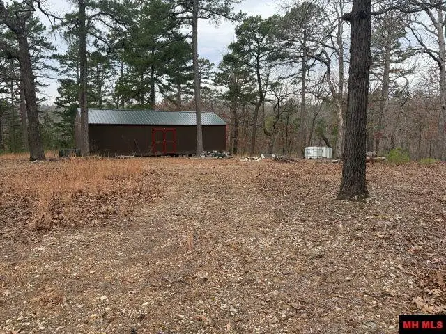 486 MC 2084, Peel, AR 72668 - #2