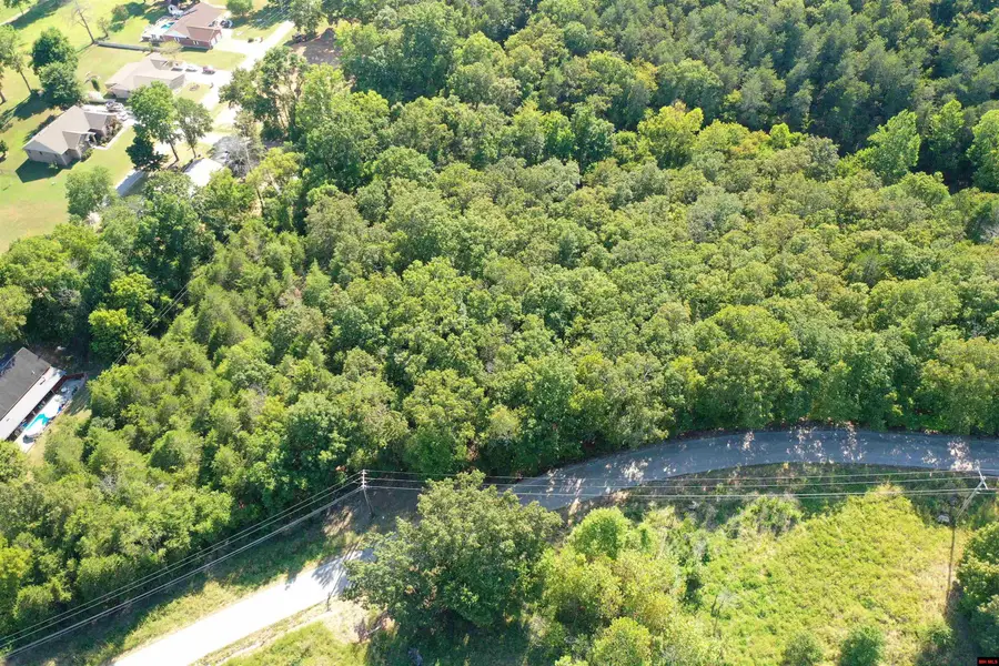 LOT 171 RIVERCLIFF DRIVE, Bull Shoals, AR 72619 - #2