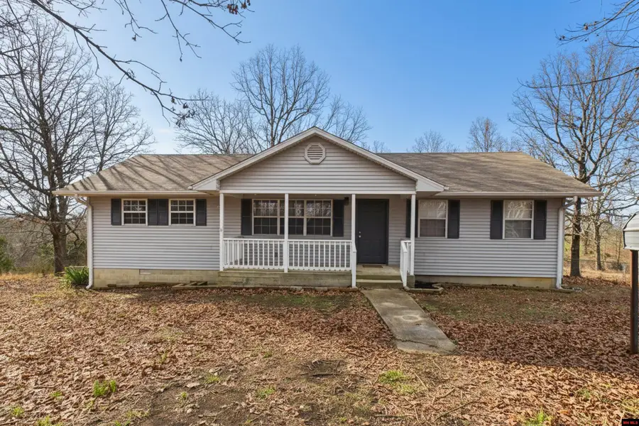 16498 HWY 62/412 WEST, Gepp, AR 72538 - #2