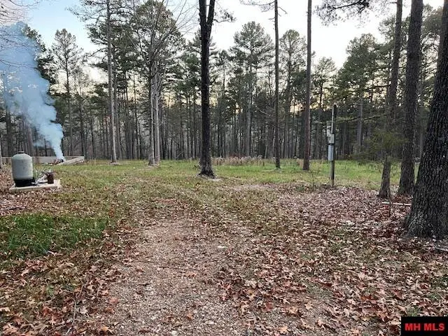 496 MC 3045, Yellville, AR 72687 - #3