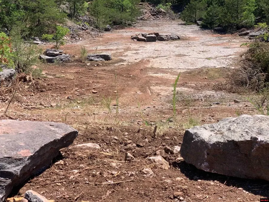 1132 LIGHTHOUSE LANE, Yellville, AR 72687 - #2