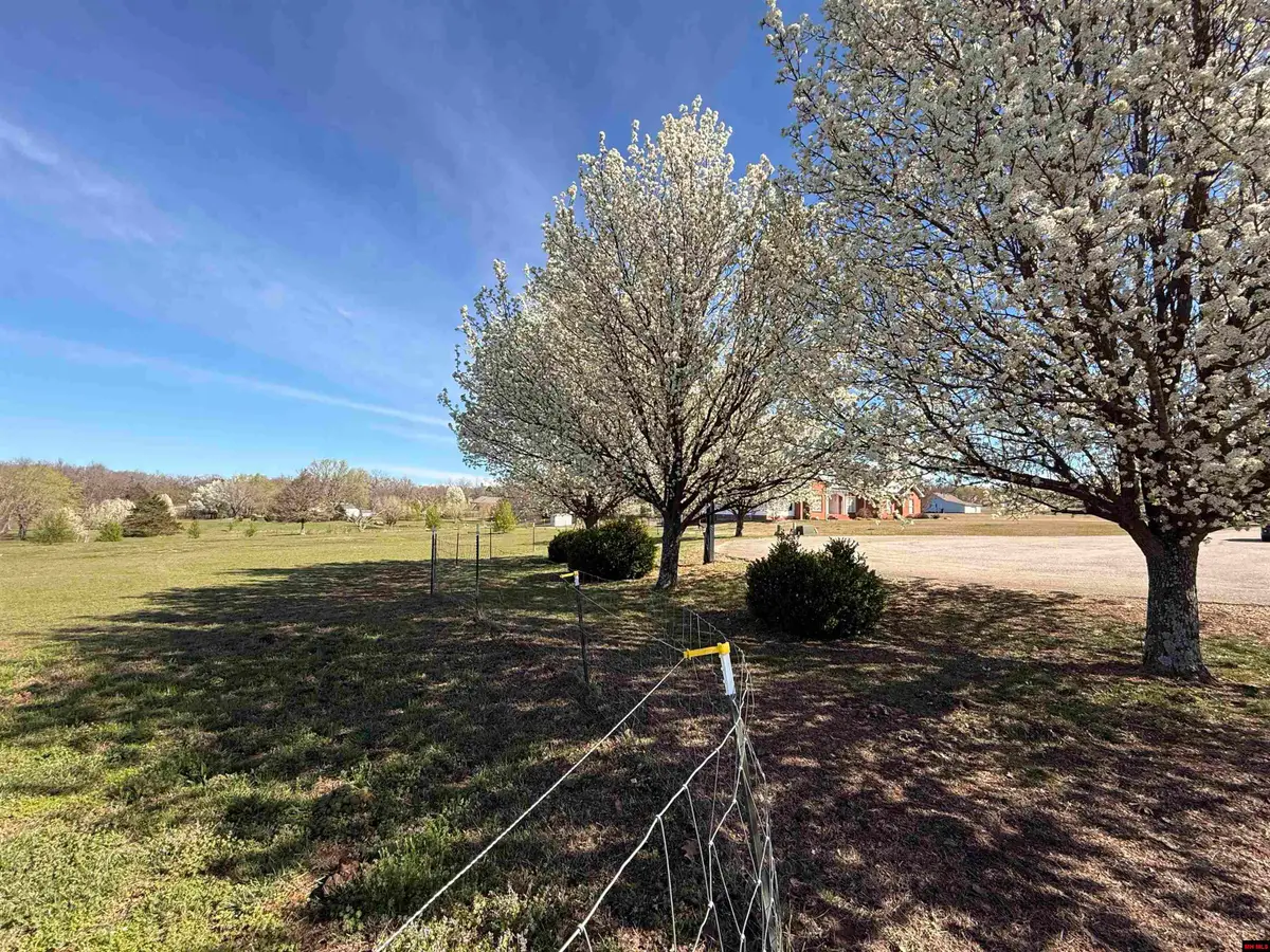 002-11116-000 CANVASBACK COURT, Mountain Home, AR 72653 - #1