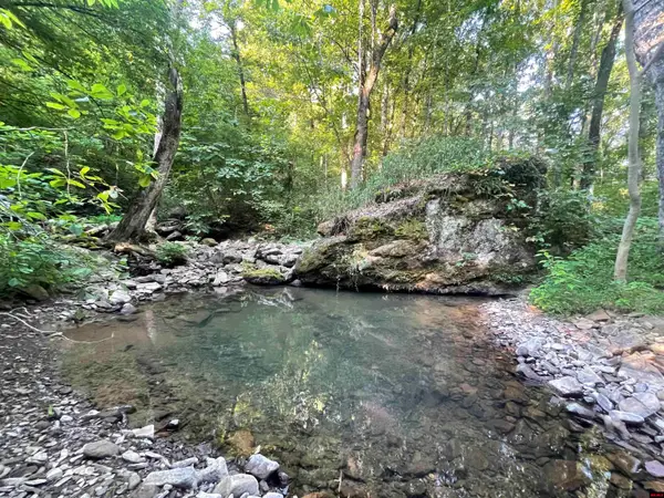 10189 HWY 377, Witt's Springs, AR 72686