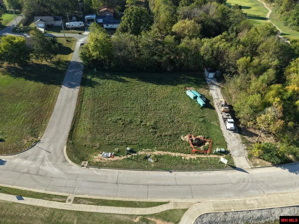 Lot 1 S SHEEKS DRIVE, Mountain Home, AR 72653 - #1