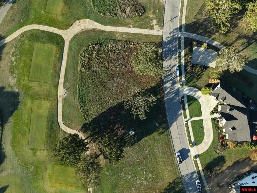 Lot 40 S SHEEKS DRIVE, Mountain Home, AR 72653 - #3