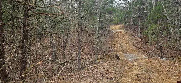 Lots 43 & 44 CR 146, Henderson, AR 72544