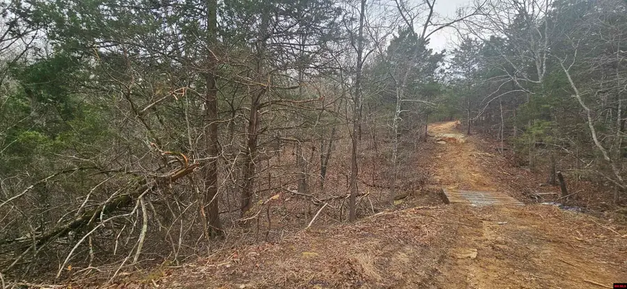 Lots 43 & 44 CR 146, Henderson, AR 72544 - #2