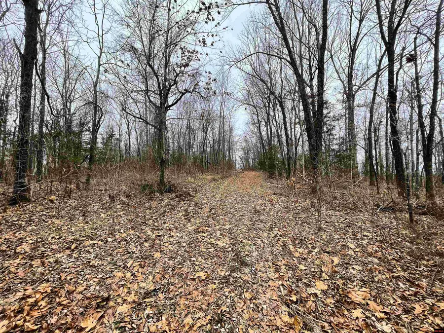 001-01616-004 HWY 14, Harriet, AR 72639 - #3