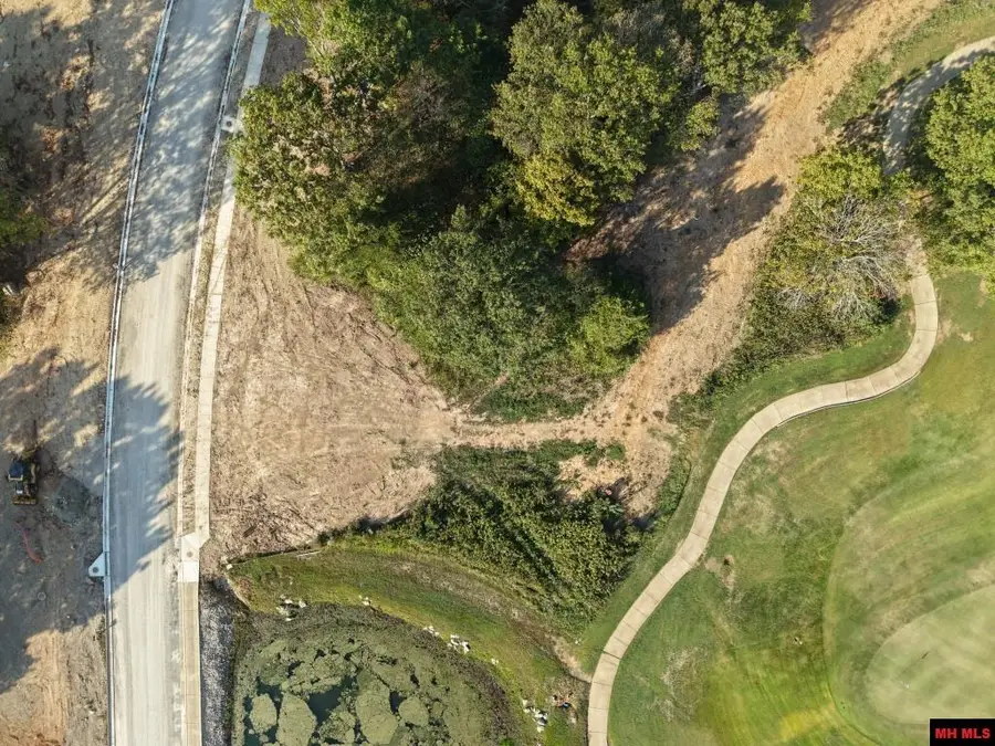 Lot 162 S SHEEKS DRIVE, Mountain Home, AR 72653 - #3