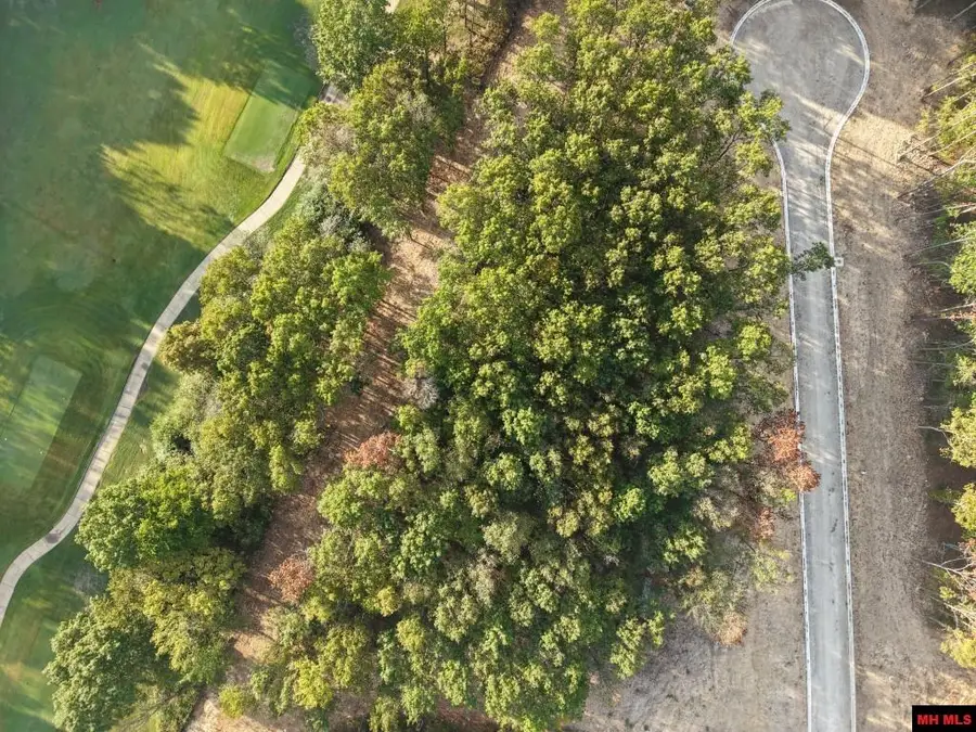 Lot 166 MUIRFIELD COURT, Mountain Home, AR 72653 - #3