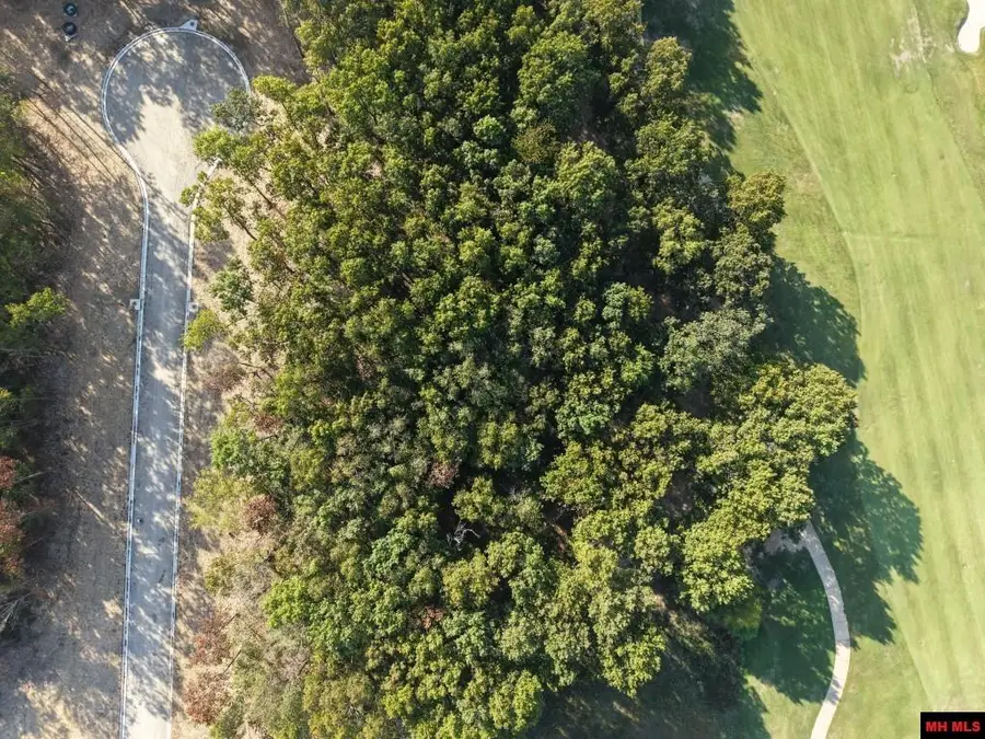 Lot 171 MUIRFIELD COURT, Mountain Home, AR 72653 - #3