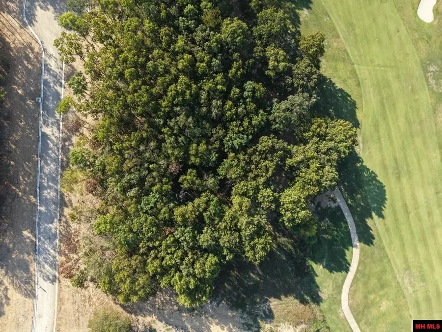 Lot 172 MUIRFIELD COURT, Mountain Home, AR 72653 - #3