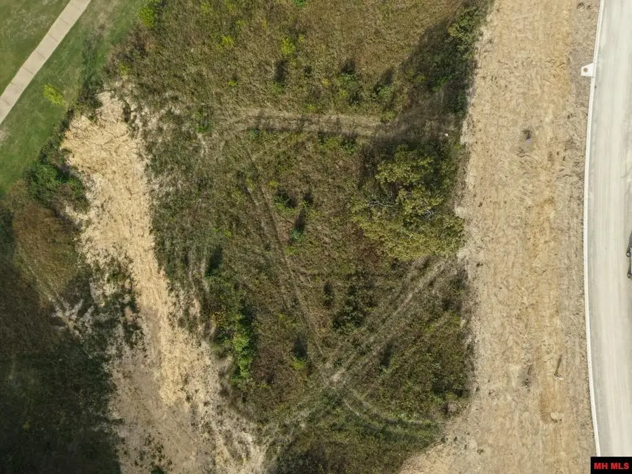 Lot 174 S SHEEKS DRIVE, Mountain Home, AR 72653 - #3