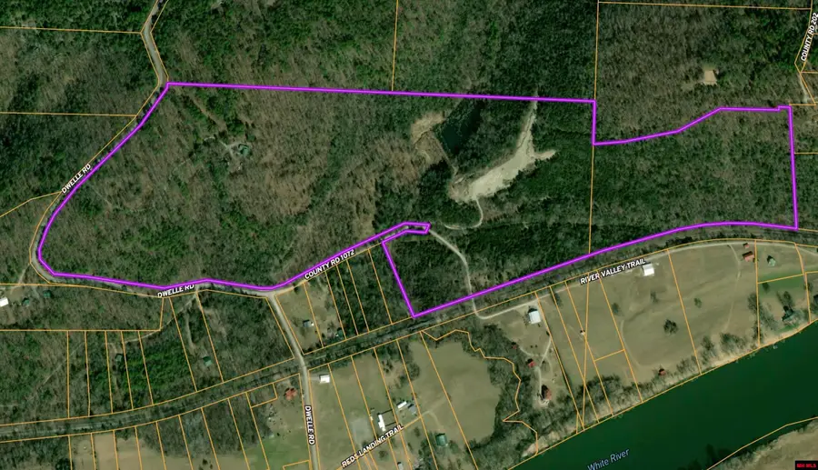 1944 DWELLE ROAD, Norfork, AR 72658 - #2