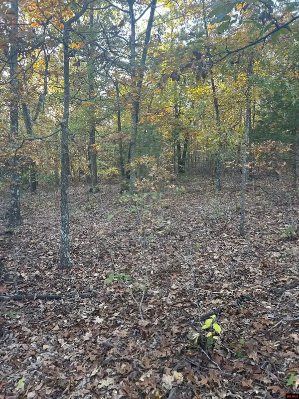 001-00749-000 CR 146, Henderson, AR 72544